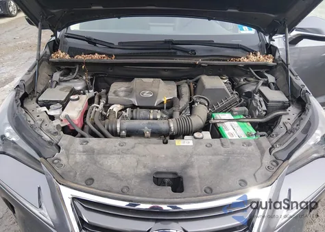 2017 Lexus Nx 200T z USA, uszkodzony, nr VIN JTJBARBZ5H2117852